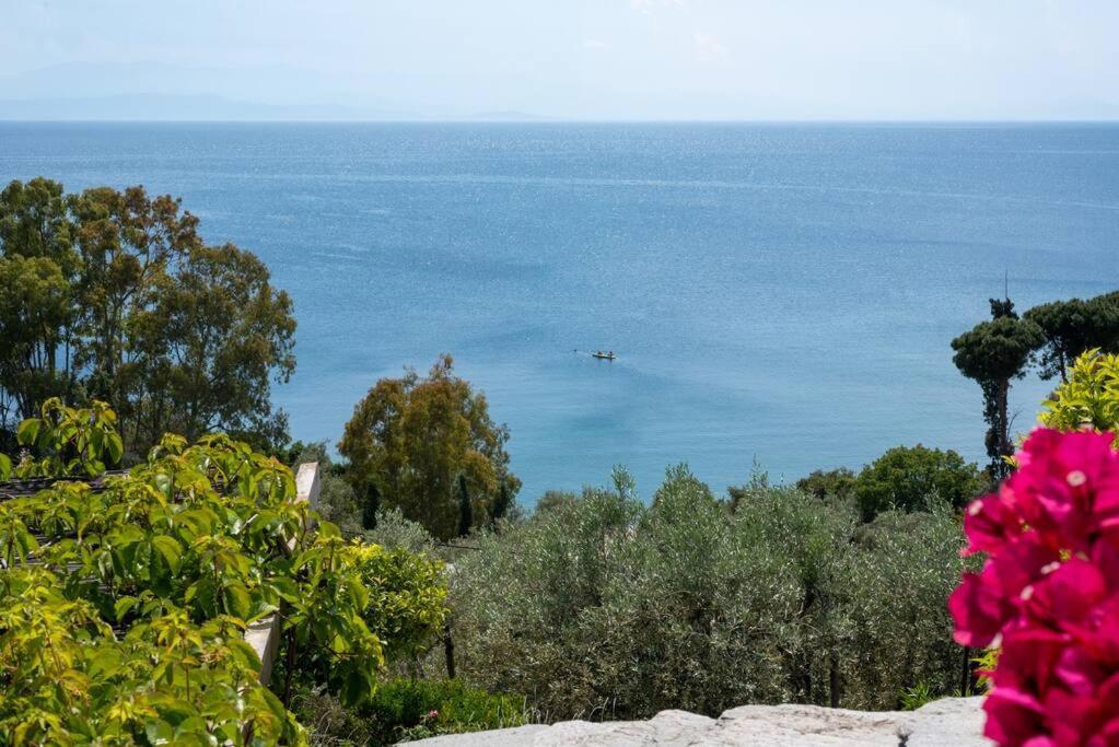 Seaside House With View Over Pagasitikos Афісос Екстер'єр фото